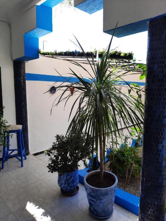 Maison D Hotes Marine Ksar Sghir Alcácer-Ceguer Exterior foto