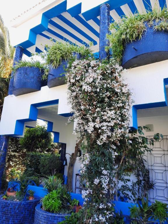 Maison D Hotes Marine Ksar Sghir Alcácer-Ceguer Exterior foto