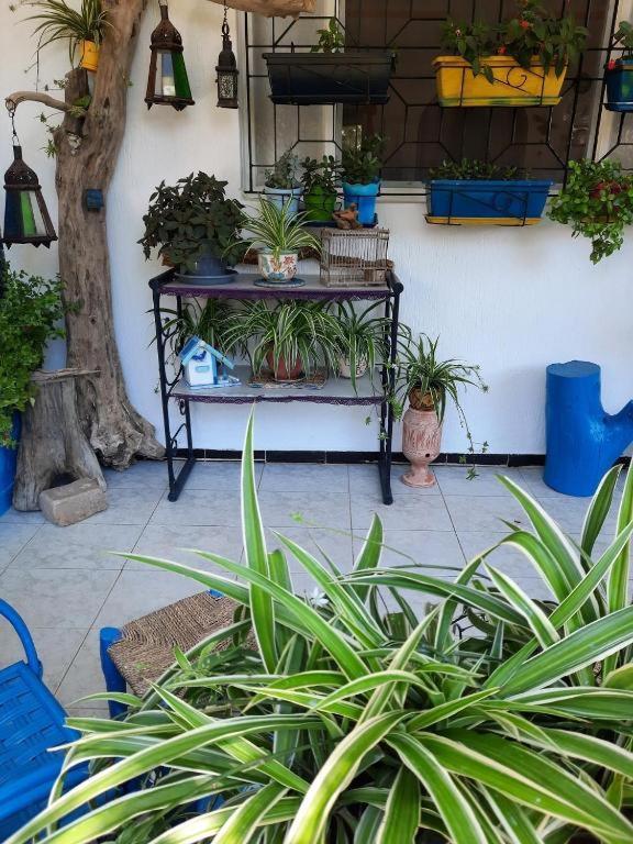 Maison D Hotes Marine Ksar Sghir Alcácer-Ceguer Exterior foto