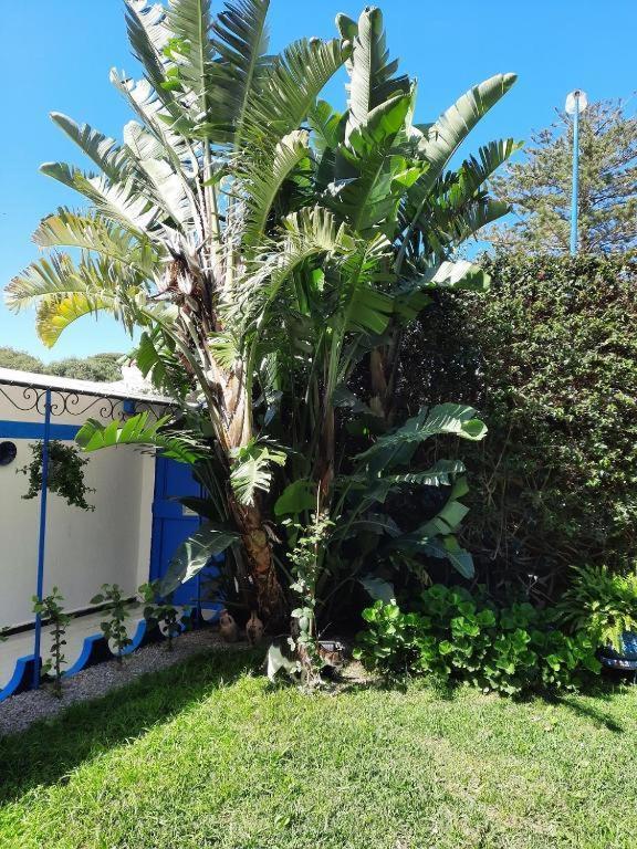 Maison D Hotes Marine Ksar Sghir Alcácer-Ceguer Exterior foto
