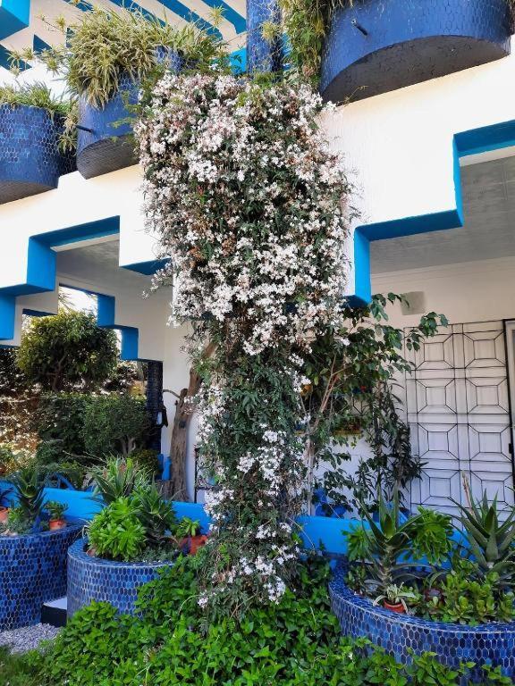 Maison D Hotes Marine Ksar Sghir Alcácer-Ceguer Exterior foto